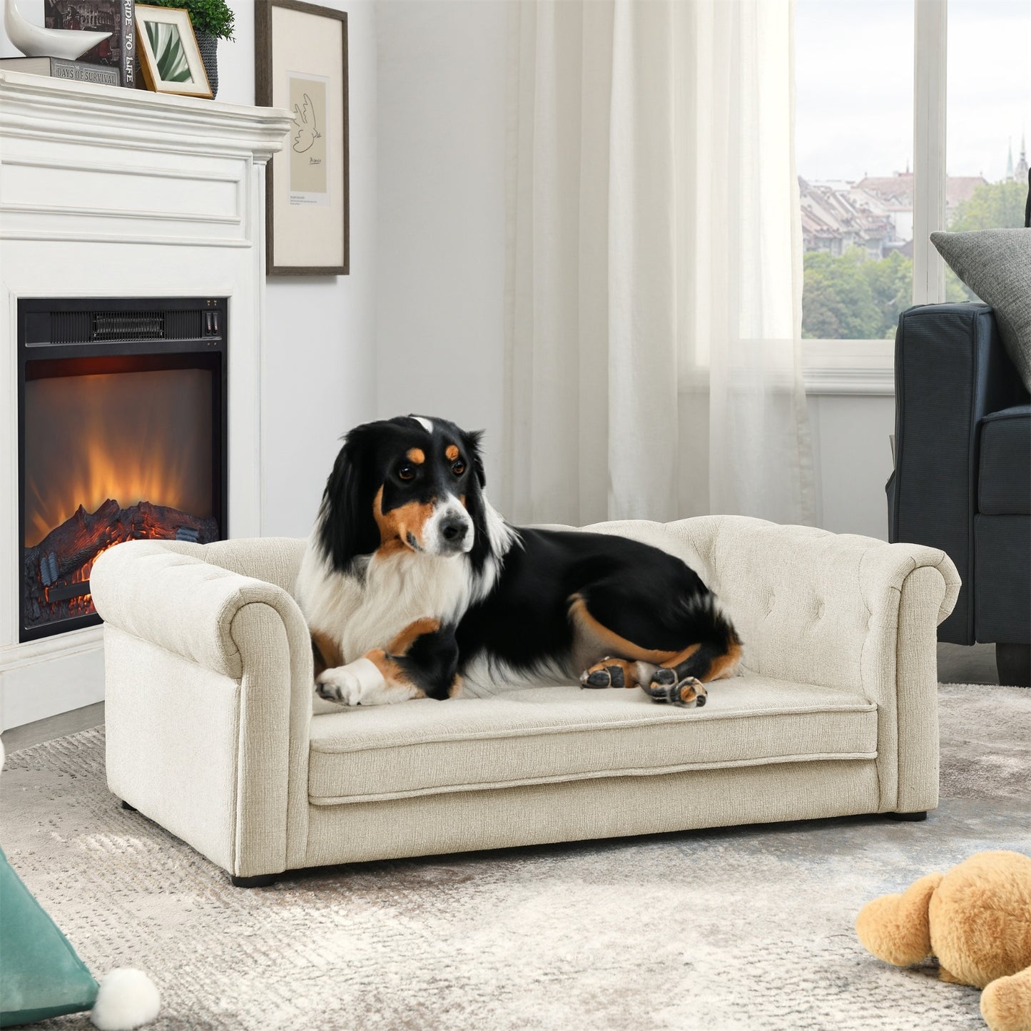 Dog sitting on a small beige sofa in a living room with a fireplace and window in the background.