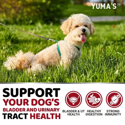 Dog on a leash in grass with Yuma's product promotion text.