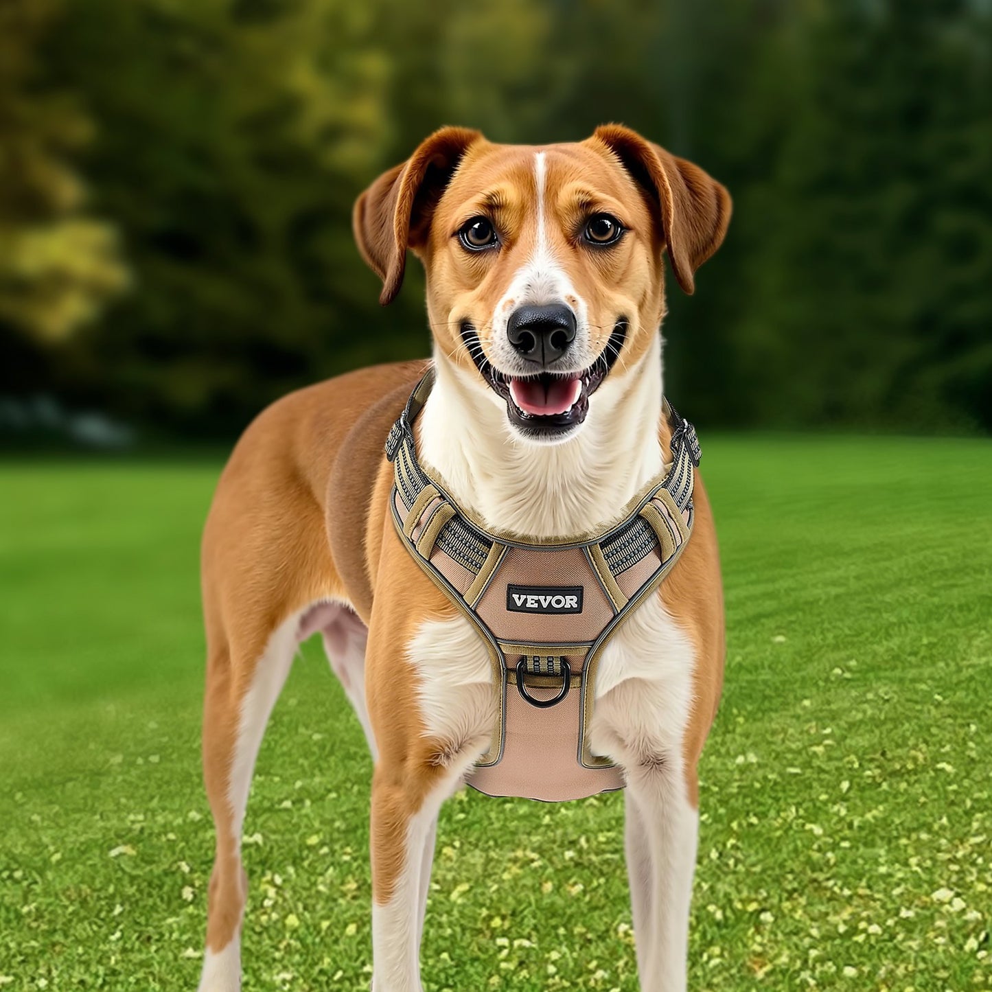 Dog wearing a VEVOR harness on a grassy field