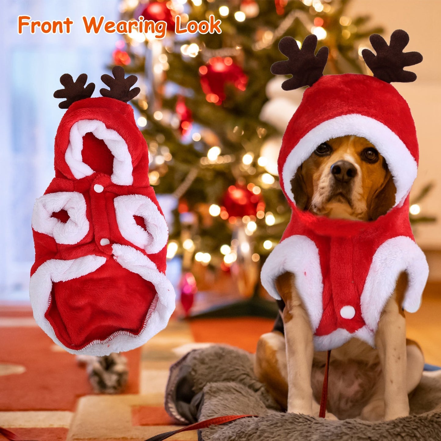 Dog wearing a red reindeer costume with antlers in front of a Christmas tree.