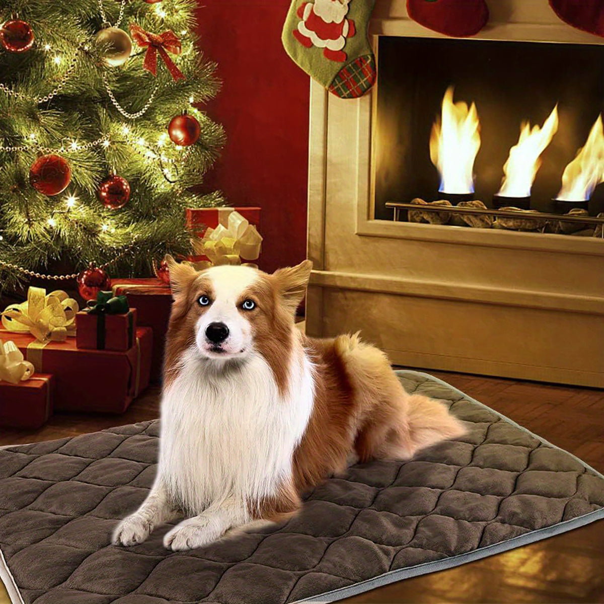 Dog sitting on a rug in front of a Christmas tree and fireplace