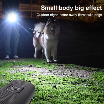Dog being scared by a flashlight during outdoor night time