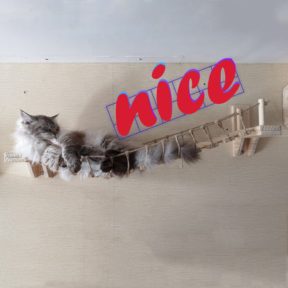 Cat lounging on a wooden shelf with 'nice' text overlay