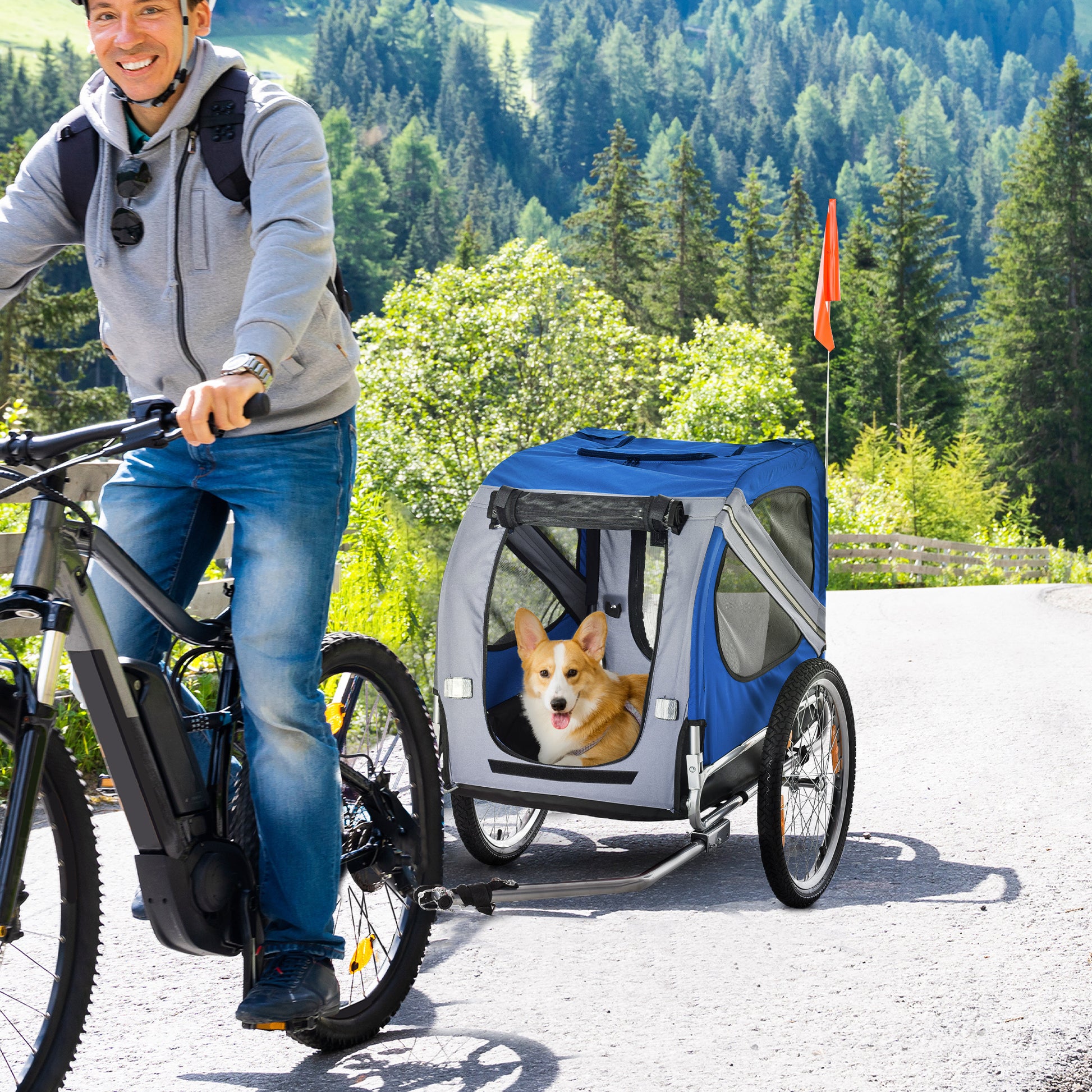 Man riding a bicycle with a dog in a blue trailer on a scenic road.
