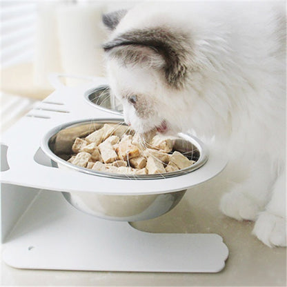 Cat eating from a raised pet bowl with food on a white background