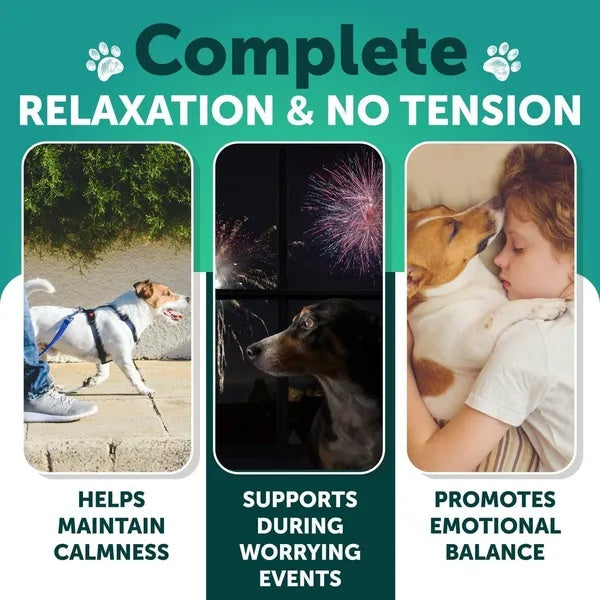 Advertisement for a product promoting relaxation and emotional balance with images of a dog on a leash, fireworks, and a child with a dog.