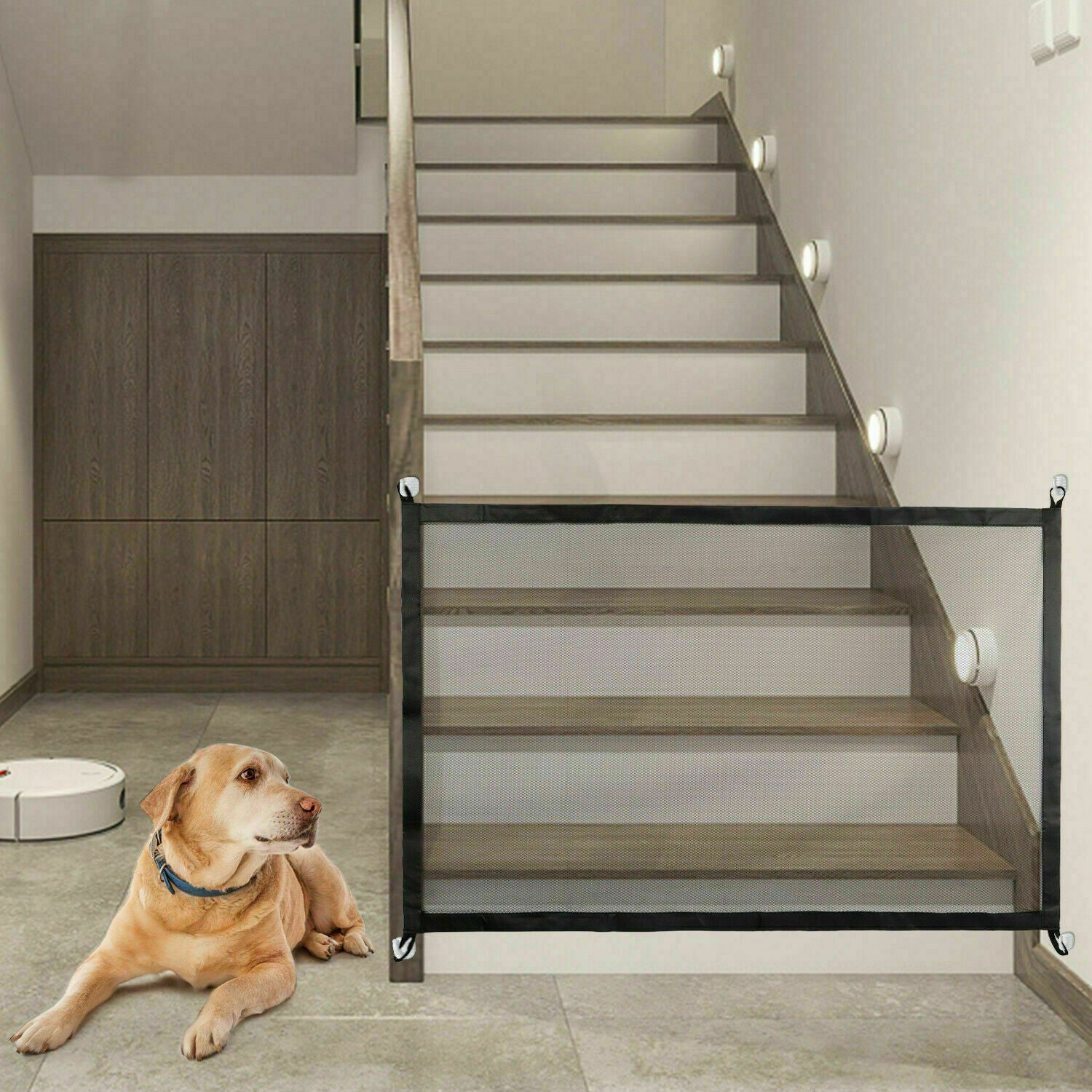 Dog sitting on a tiled floor next to a staircase with a glass pet gate.