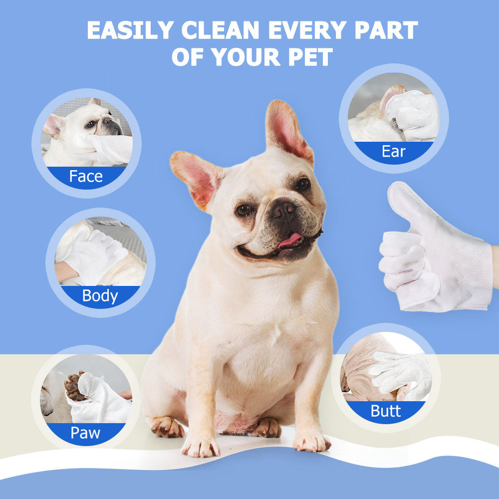 Dog with cleaning tools and text indicating pet cleaning features on a blue background