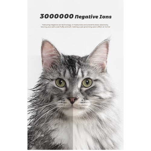 Cat with text about negative ions on a white background