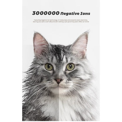 Cat with text about negative ions on a white background
