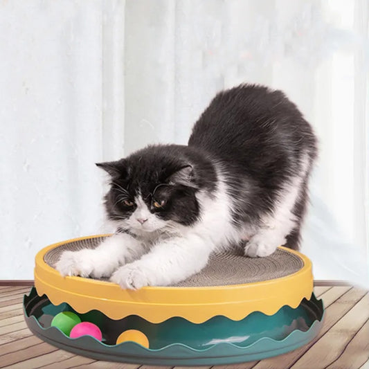 Cat lying on a colorful round pet bed with a white curtain background