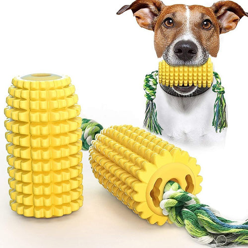 Dog with yellow textured chew toy and green rope on a white background