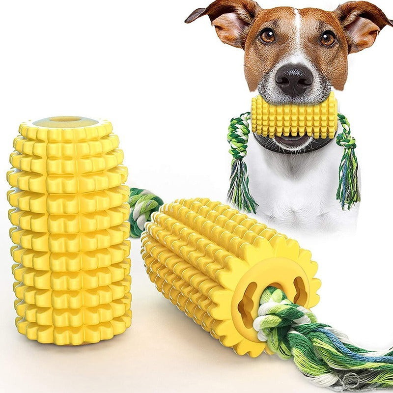 Dog with yellow textured chew toy and green rope on a white background