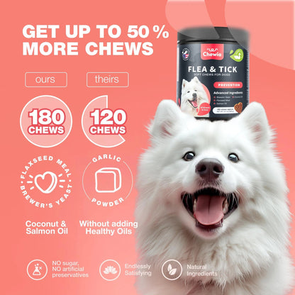 Dog with a product container and promotional text on a pink background