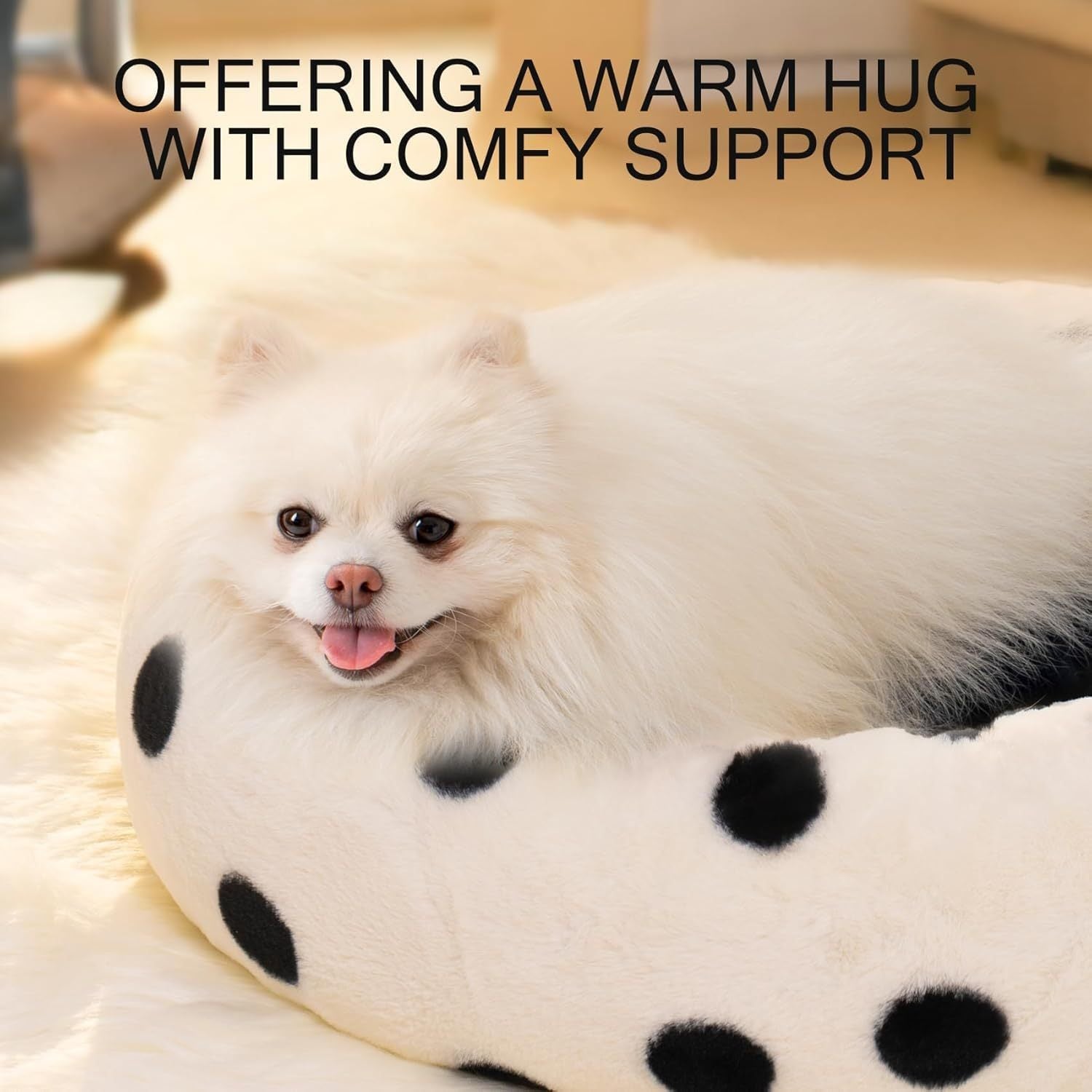 Small white dog lying on a polka dot pet bed with text 'Offering a warm hug with comfy support'.