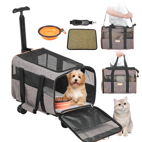 Pet travel carrier with accessories on a white background