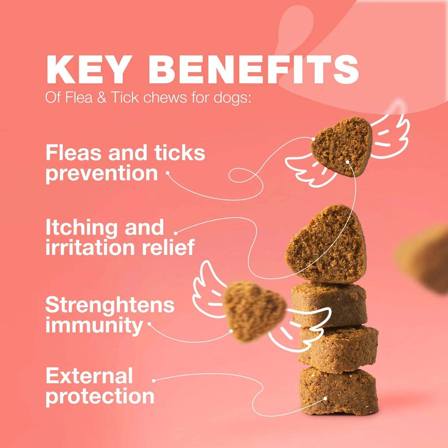Flea and tick chews for dogs with key benefits listed on a pink background
