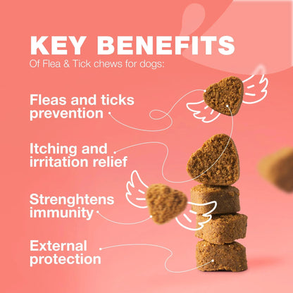Flea and tick chews for dogs with key benefits listed on a pink background