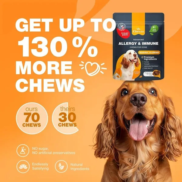Dog with a treat package on its head and promotional text about chew benefits on an orange background