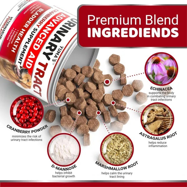 Dog food product with ingredients listed on a white background