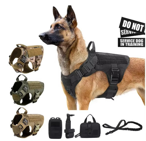 Dog wearing a tactical harness with additional vests and accessories on a white background.