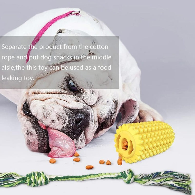Dog toy with cotton rope and food on a white background
