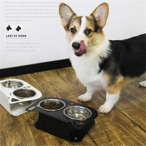 Dog standing next to a raised pet feeder with bowls on a wooden floor.
