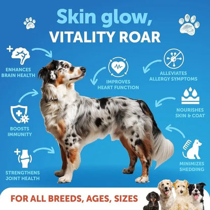 Dog with health benefits text on a blue background