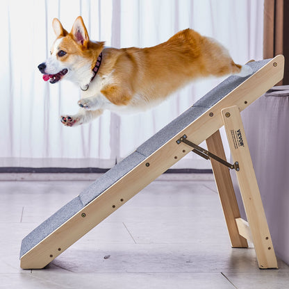 Dog using a wooden ramp on a light-colored floor with a neutral background