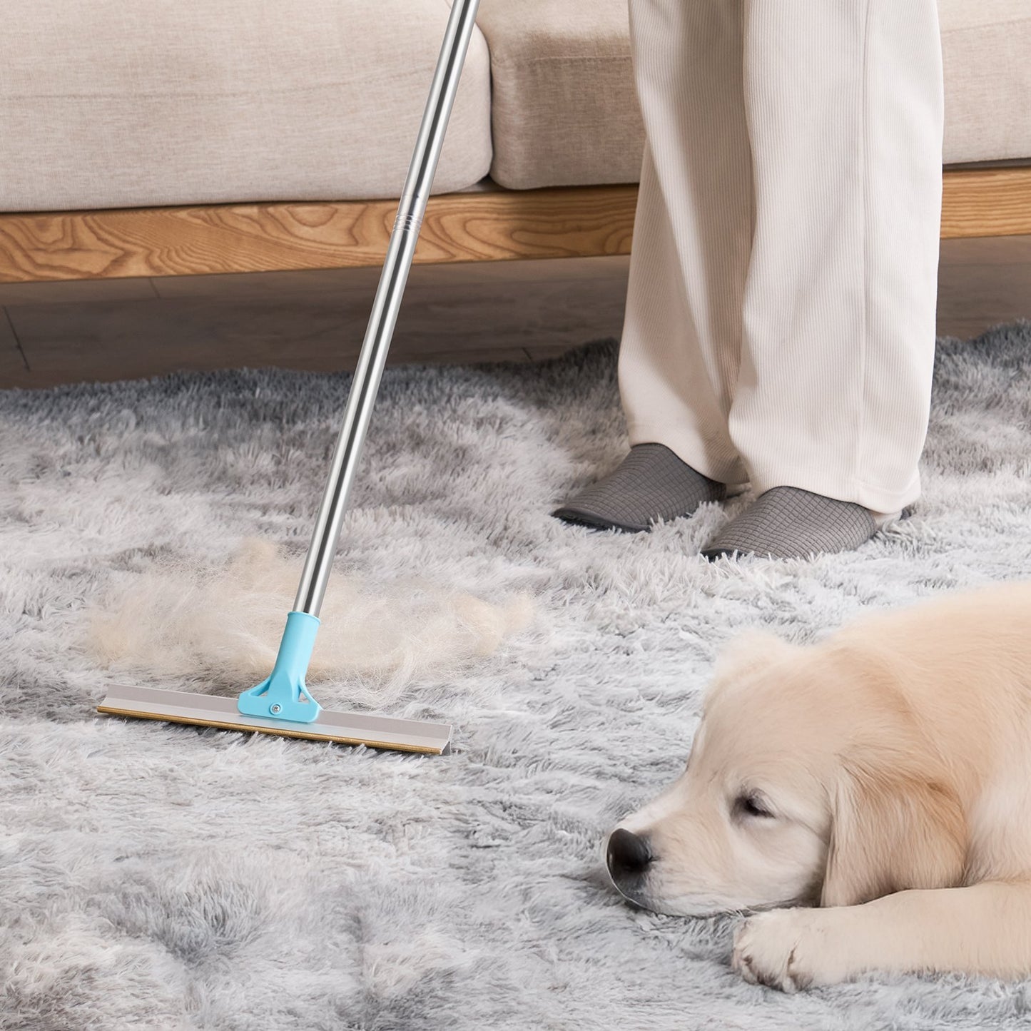Person cleaning a carpet with a broom while a dog lies nearby.
