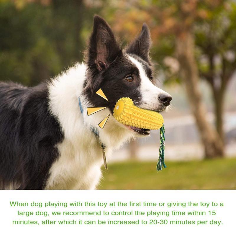 Dog playing with a corn-shaped chew toy outdoors