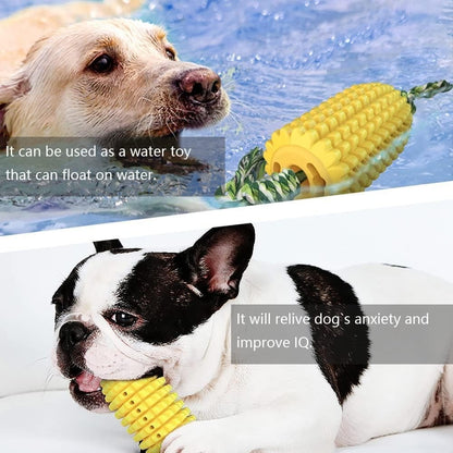 Dog playing with a corn-shaped toy in water and on land.