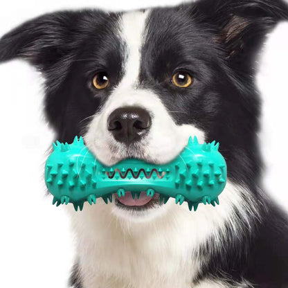 Dog holding a green rubber toy with spikes and teeth in its mouth.