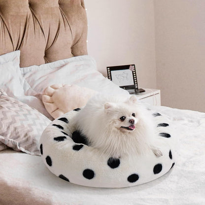 Small white dog on a polka dot pet bed in a bedroom setting