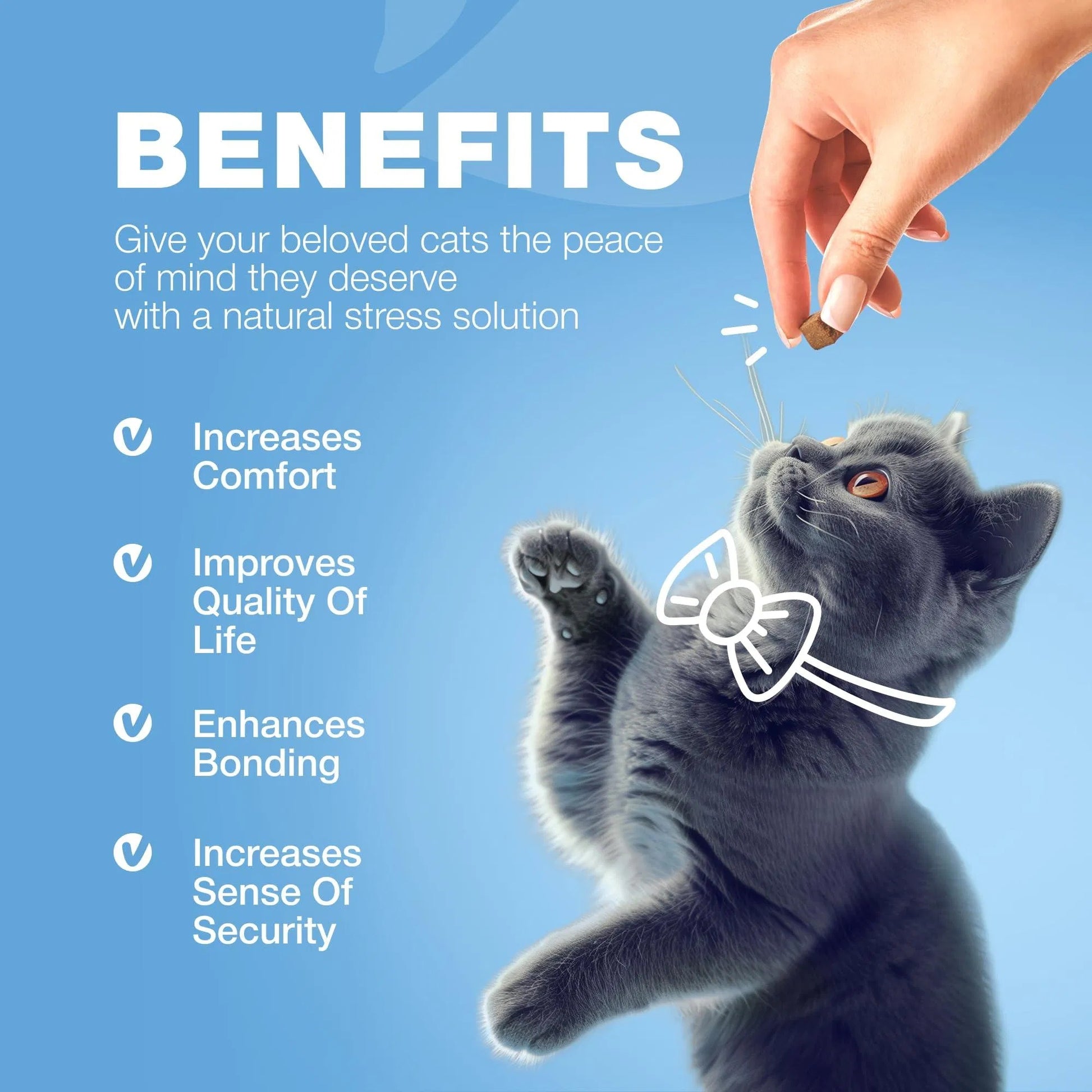 Cat being petted with text about benefits of a natural stress solution on a blue background