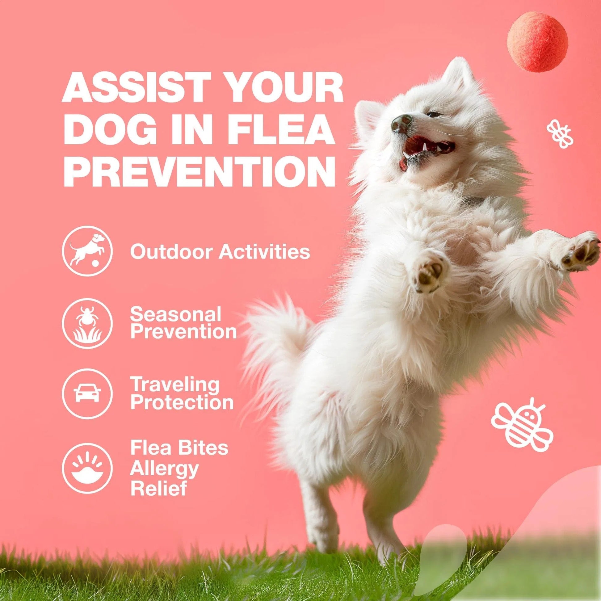 White dog playing outdoors with text on flea prevention on a pink background