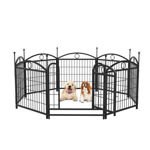 Black metal pet playpen with two dogs inside on a white background