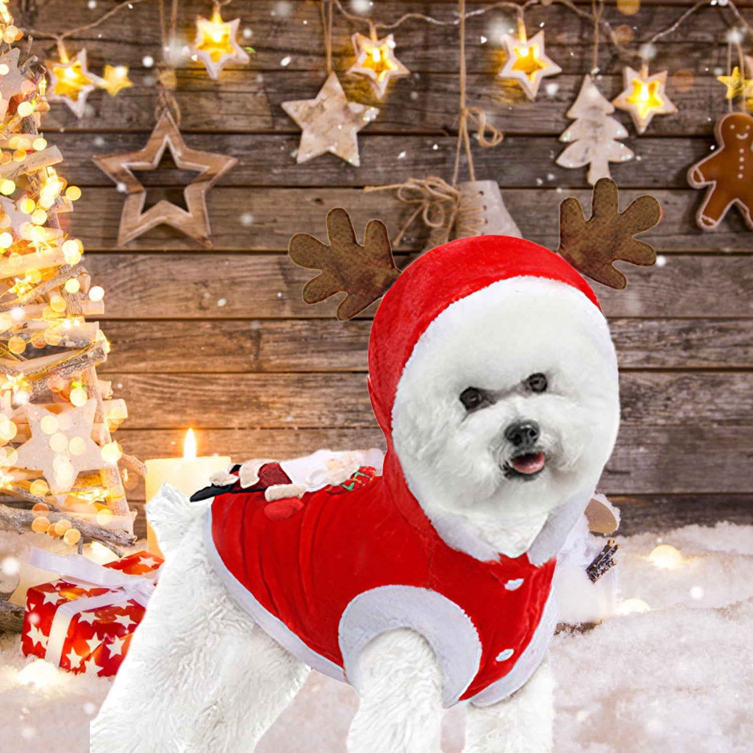 Dog wearing a red Christmas costume with reindeer antlers in front of a decorated Christmas tree.