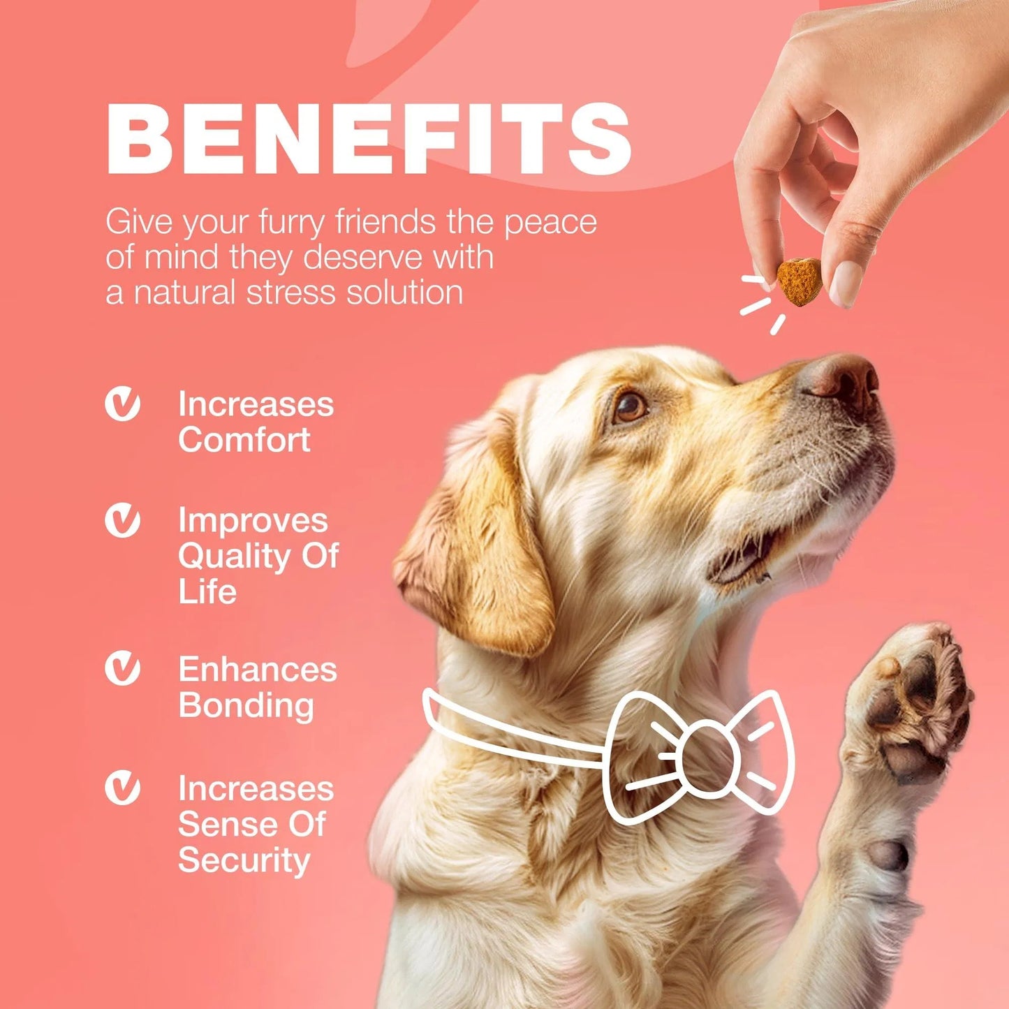 Dog being fed a treat with text about benefits on a pink background