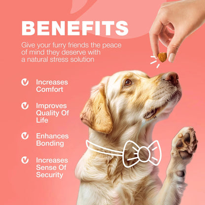 Dog being fed a treat with text about benefits on a pink background