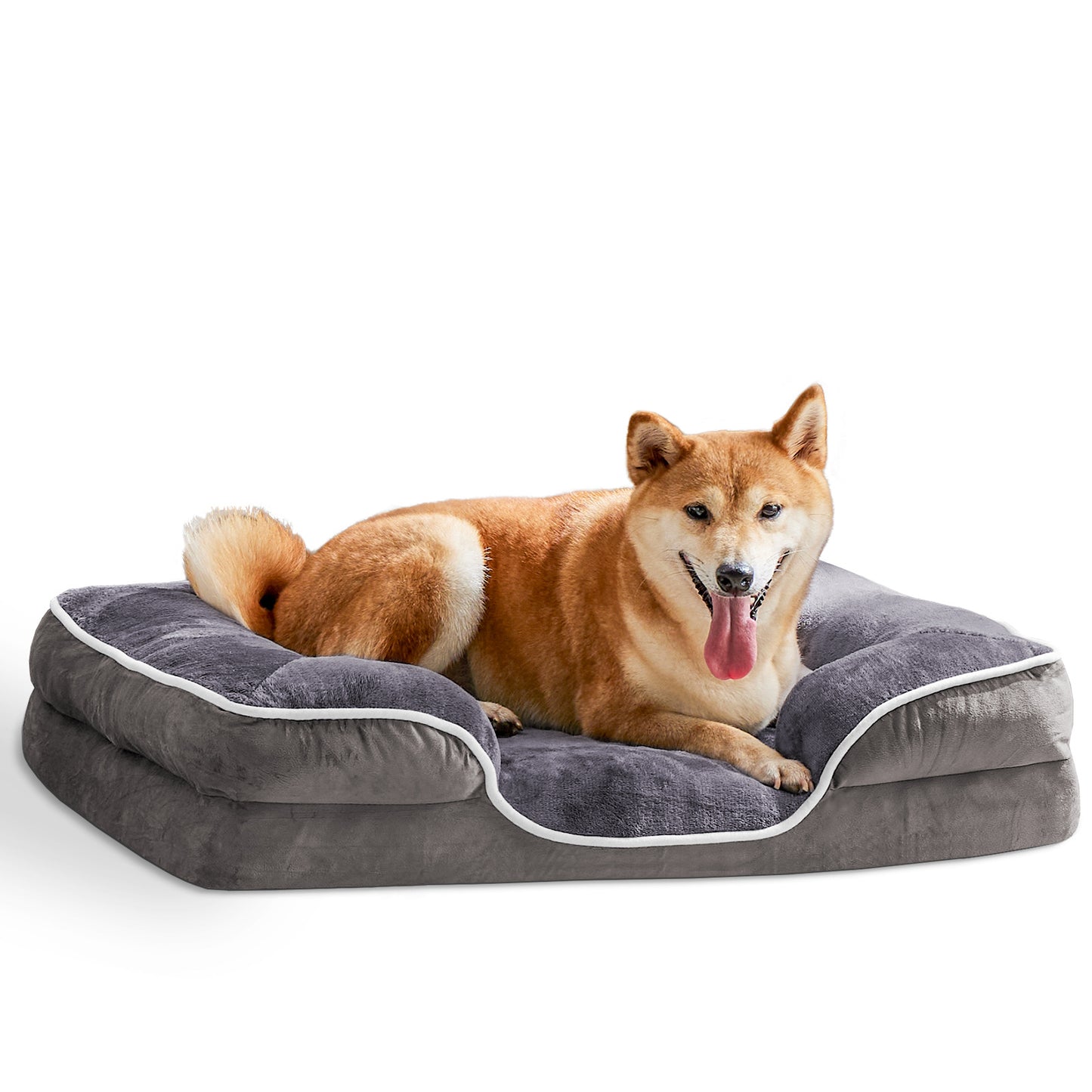 Dog lying on a gray pet bed with a white background