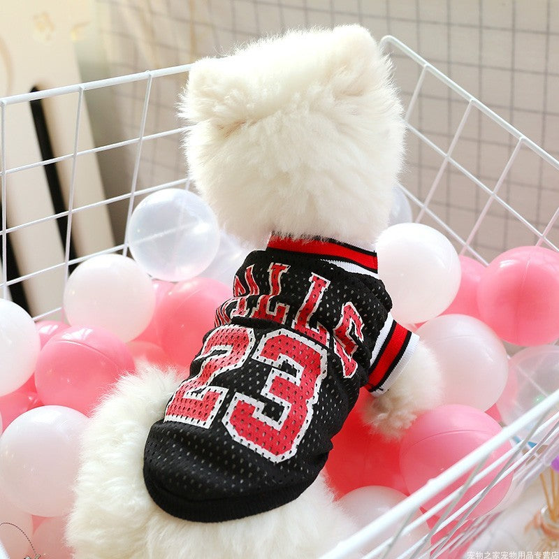 White teddy bear wearing a black sports jersey with red numbers in a decorative setting with balloons.