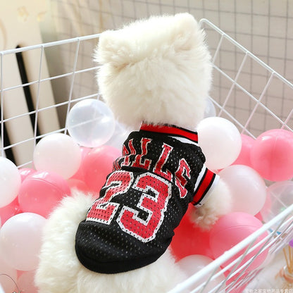 White teddy bear wearing a black sports jersey with red numbers in a decorative setting with balloons.