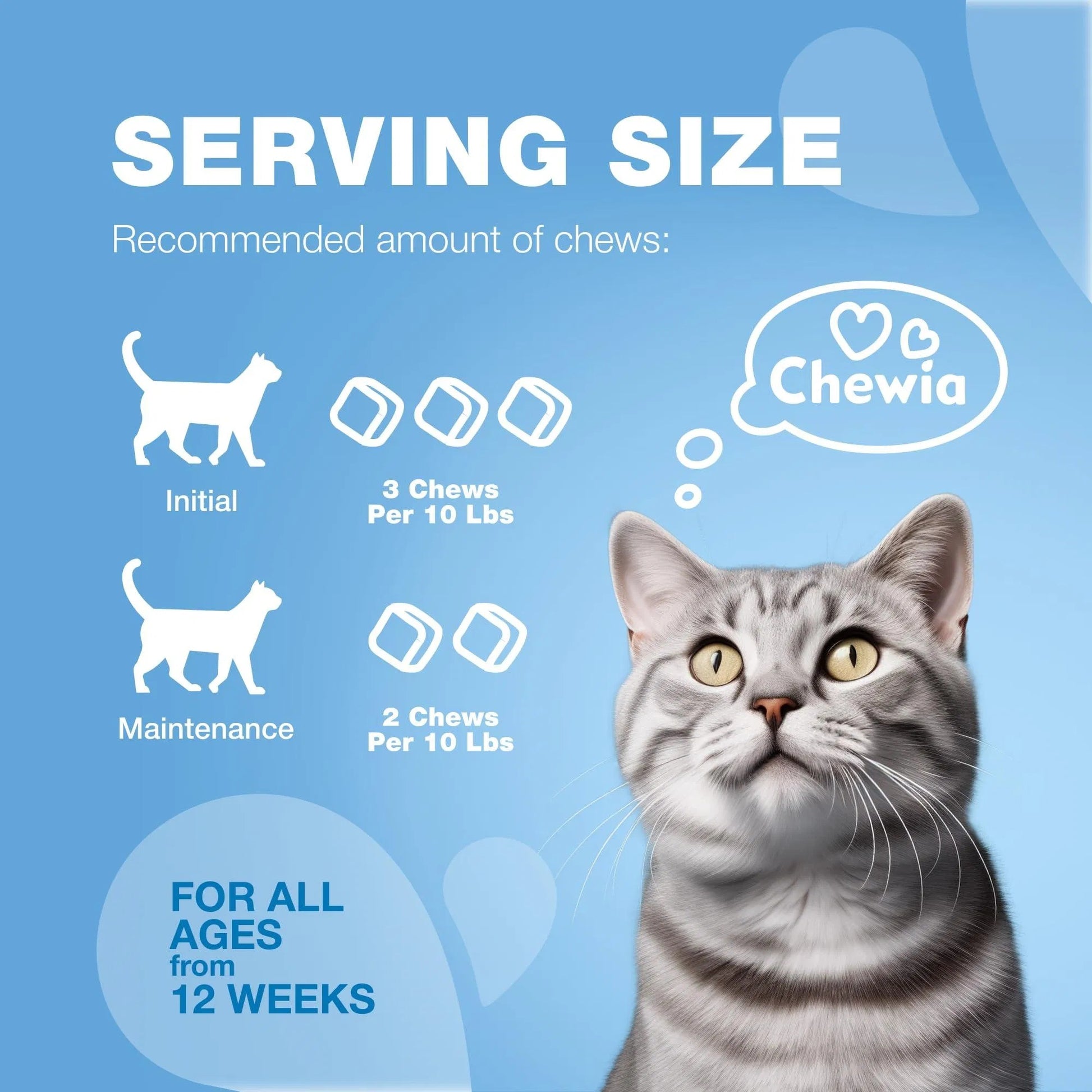 Cat serving size chart with Chewia branding on a blue background
