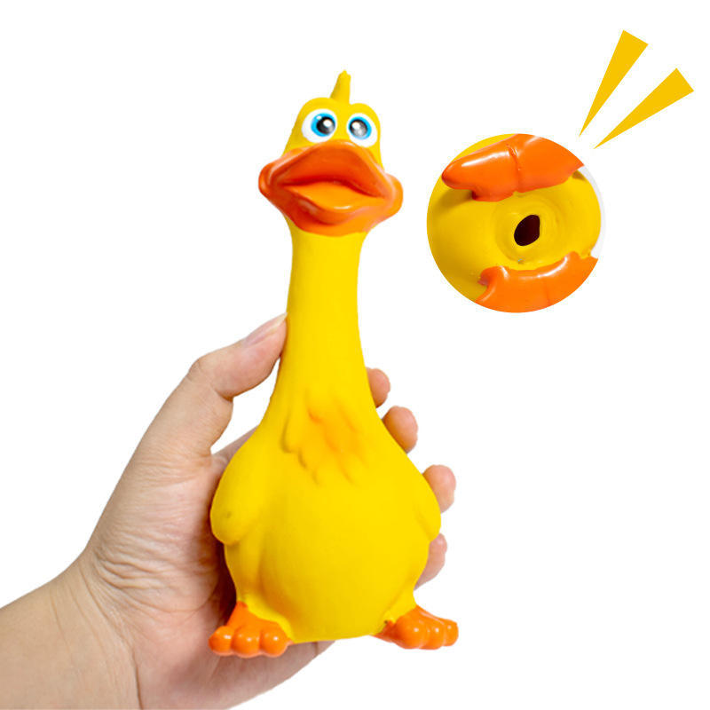 Yellow rubber duck held in a hand with a close-up of its mouth on a white background