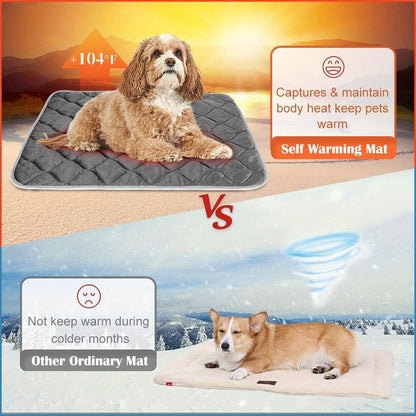 Dog lying on a self-warming mat with a comparison to an ordinary mat in different weather conditions.