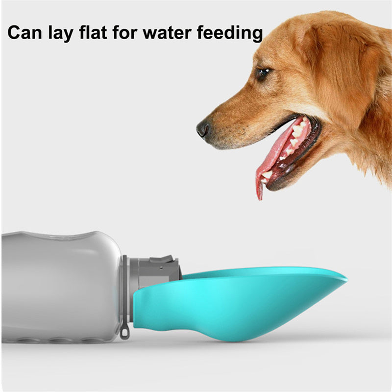 Dog drinking from a teal pet water bottle with text 'Can lay flat for water feeding' on a white background.