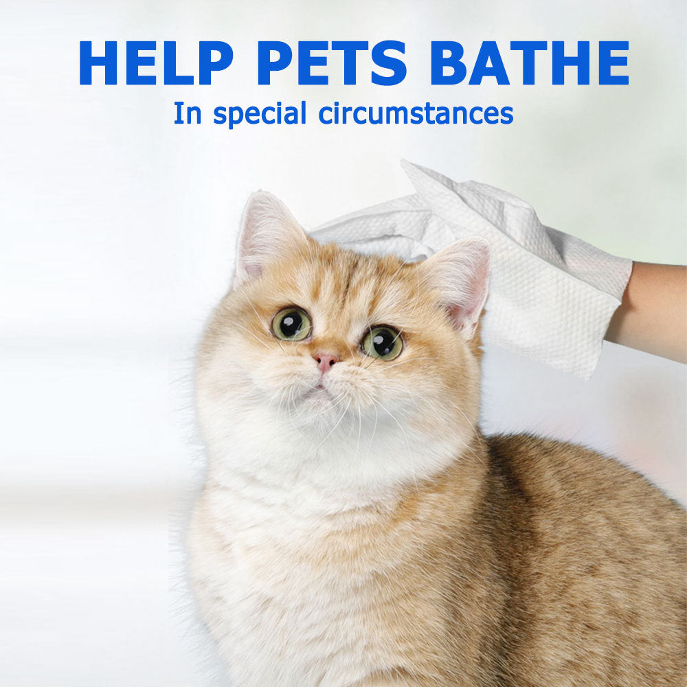 Cat being helped to bathe with text 'Help Pets Bathe In special circumstances' on a white background
