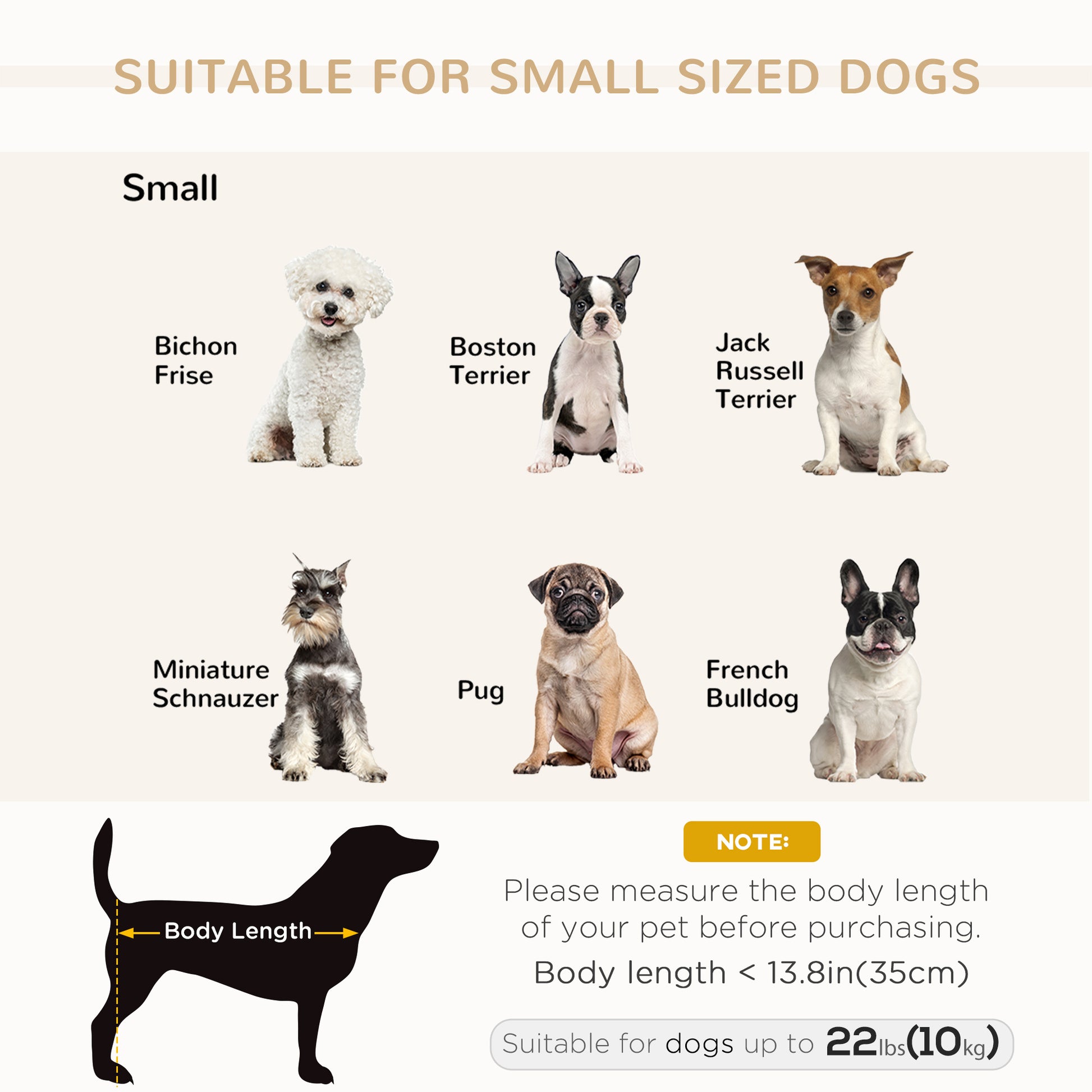 Chart showing suitable small-sized dogs with images and dimensions.