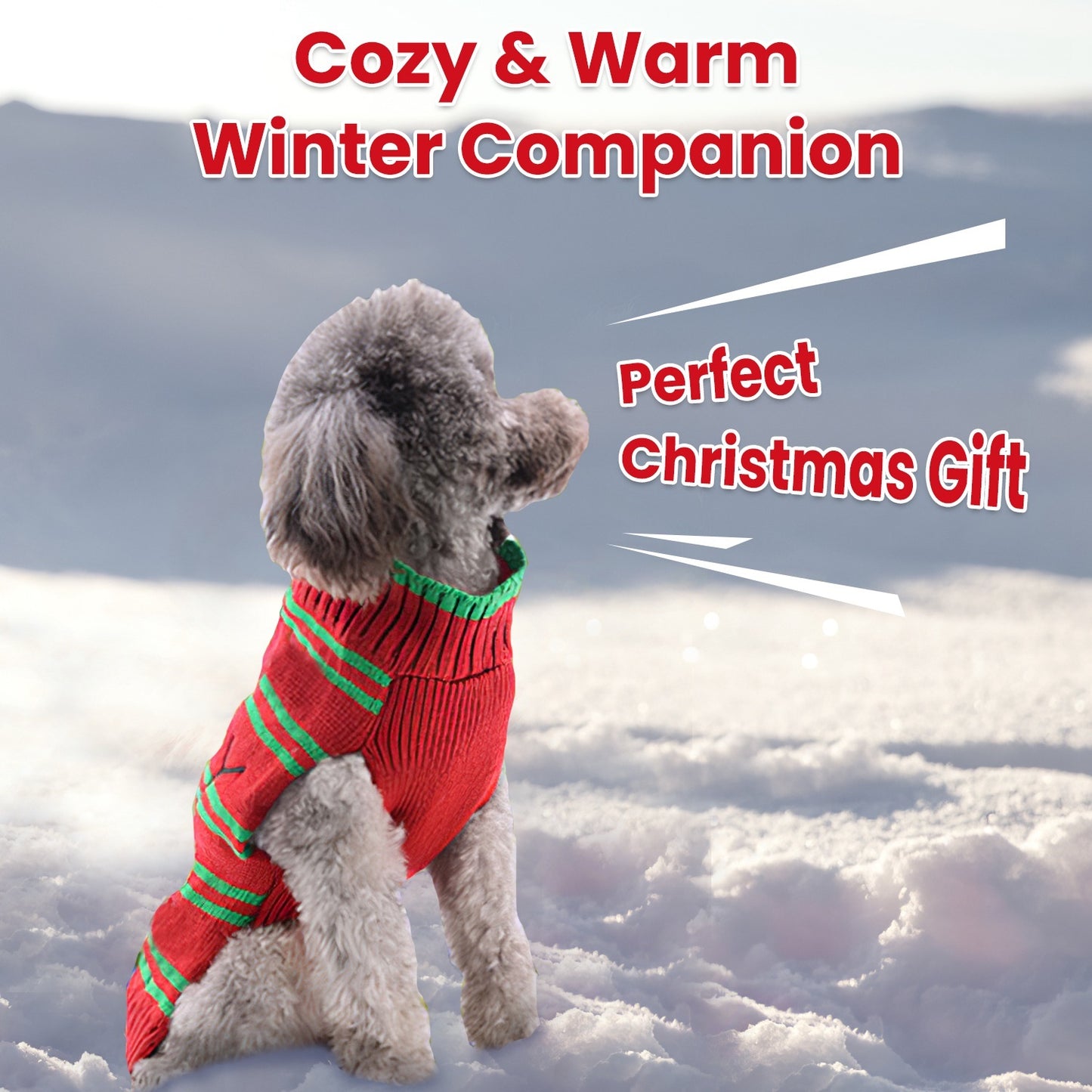 Dog wearing a red sweater with green stripes in the snow, text 'Cozy & Warm Winter Companion' and 'Perfect Christmas Gift'.